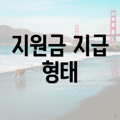 지원금 지급 형태