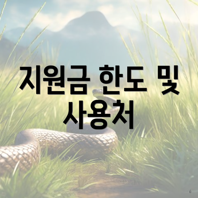 지원금 한도 및 사용처