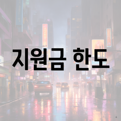 지원금 한도