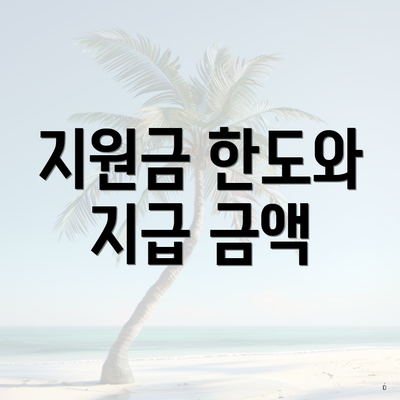 지원금 한도와 지급 금액