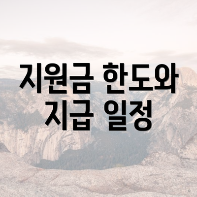 지원금 한도와 지급 일정