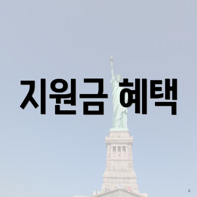 지원금 혜택