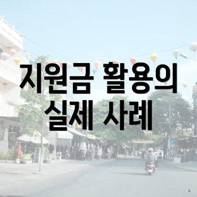 지원금 활용의 실제 사례
