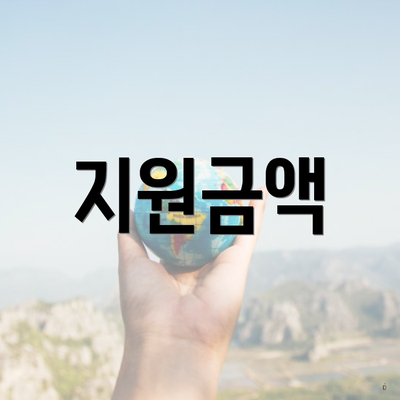 지원금액