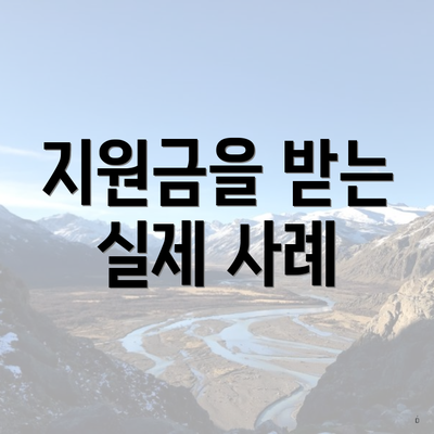 지원금을 받는 실제 사례