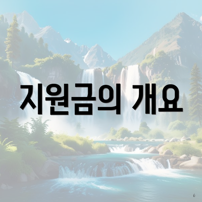 지원금의 개요