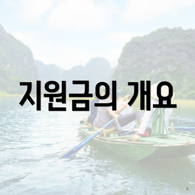 지원금의 개요