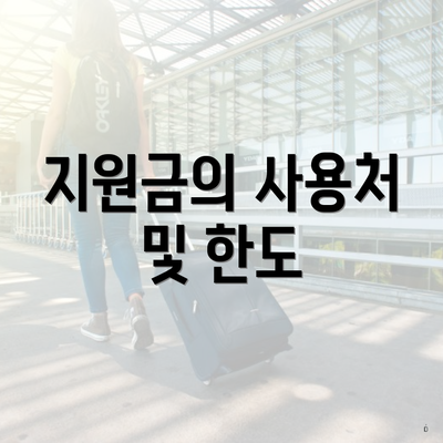 지원금의 사용처 및 한도