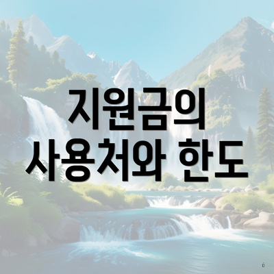 지원금의 사용처와 한도
