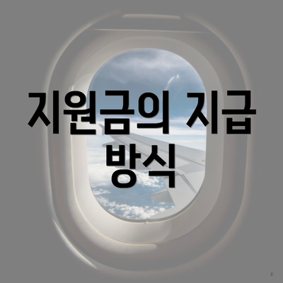 지원금의 지급 방식