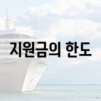 지원금의 한도