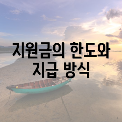 지원금의 한도와 지급 방식