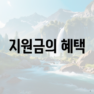 지원금의 혜택