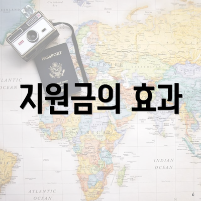 지원금의 효과