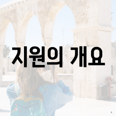 지원의 개요