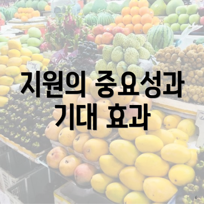 지원의 중요성과 기대 효과