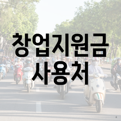 창업지원금 사용처