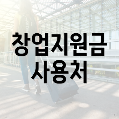 창업지원금 사용처