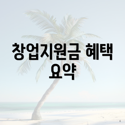 창업지원금 혜택 요약