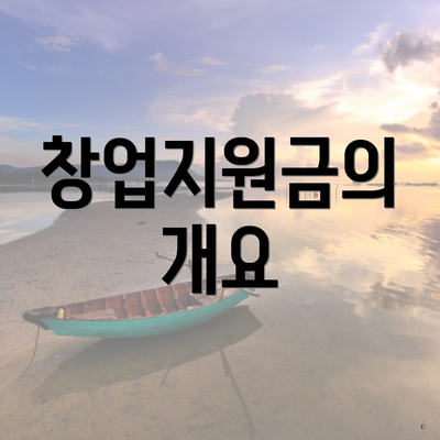 창업지원금의 개요
