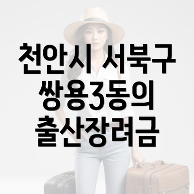 천안시 서북구 쌍용3동의 출산장려금