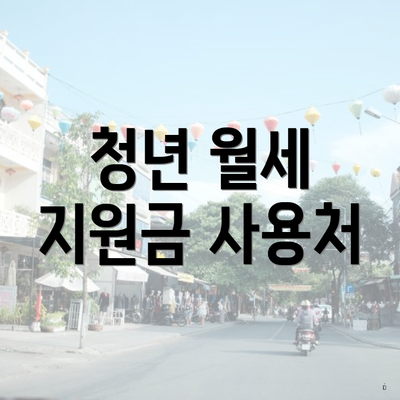 청년 월세 지원금 사용처
