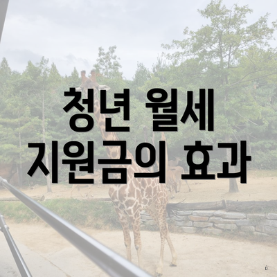 청년 월세 지원금의 효과