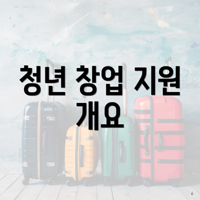 청년 창업 지원 개요
