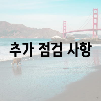 추가 점검 사항