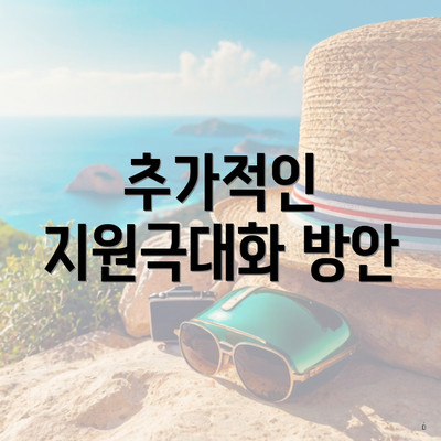 추가적인 지원극대화 방안
