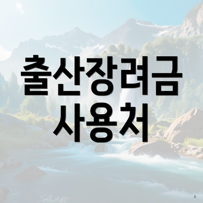출산장려금 사용처