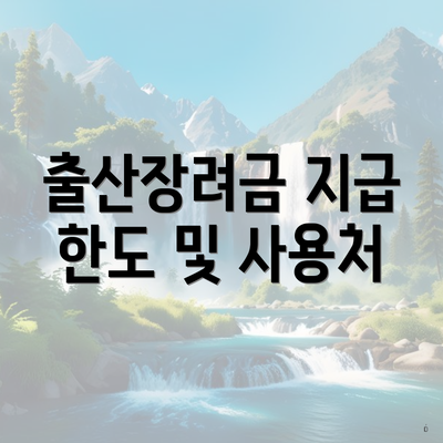 출산장려금 지급 한도 및 사용처