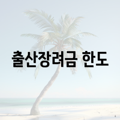 출산장려금 한도