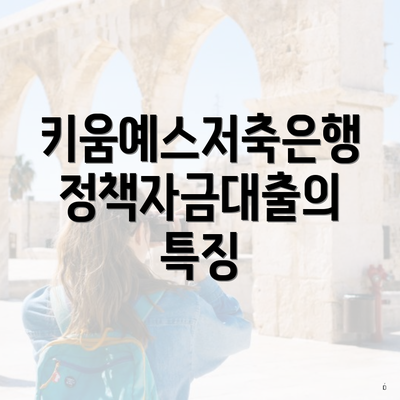 키움예스저축은행 정책자금대출의 특징