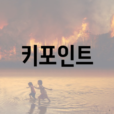 키포인트