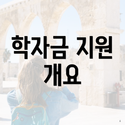 학자금 지원 개요