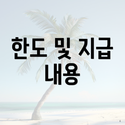 한도 및 지급 내용