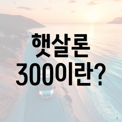 햇살론 300이란?