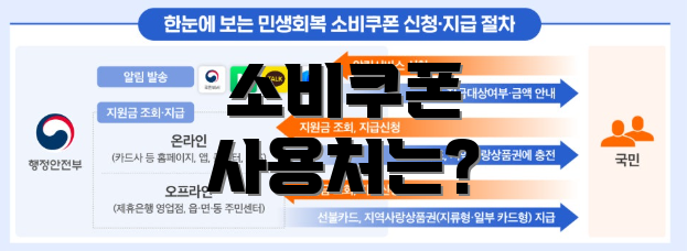 소비쿠폰 사용처는?