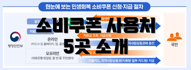 소비쿠폰 사용처 5곳 소개