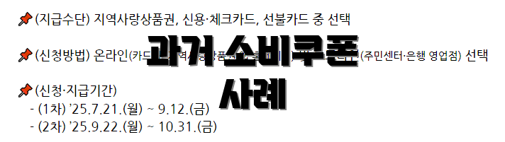 과거 소비쿠폰 사례