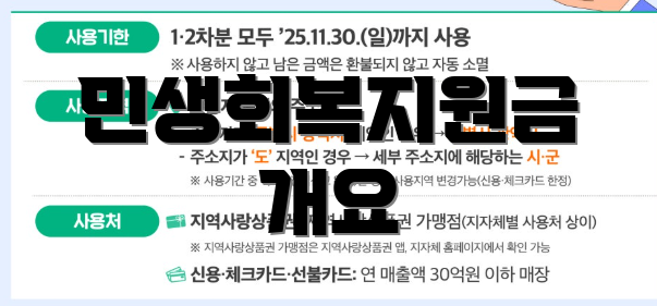 민생회복지원금 개요