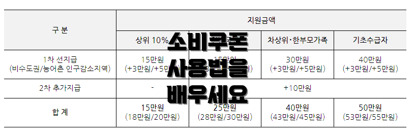 소비쿠폰 사용법을 배우세요