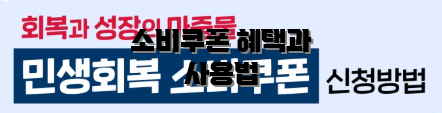소비쿠폰 혜택과 사용법