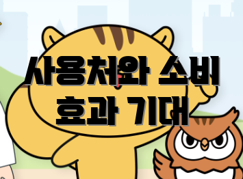 사용처와 소비 효과 기대