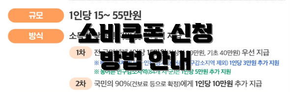 소비쿠폰 신청 방법 안내