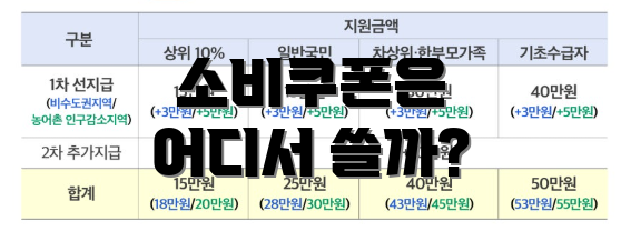 소비쿠폰은 어디서 쓸까?