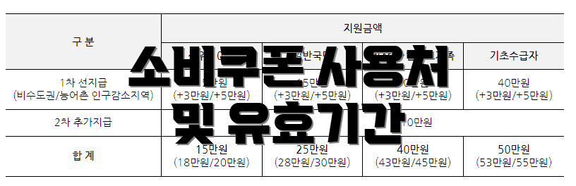 소비쿠폰 사용처 및 유효기간