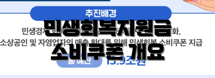 민생회복지원금 소비쿠폰 개요