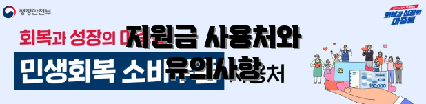 지원금 사용처와 유의사항